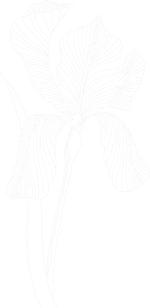 Fleur d’Iris 34 massage et thérapie à Montpellier Gigean